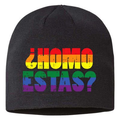 Homo Estas Spanish Mexican Funny Pride Ally Month Sustainable Beanie