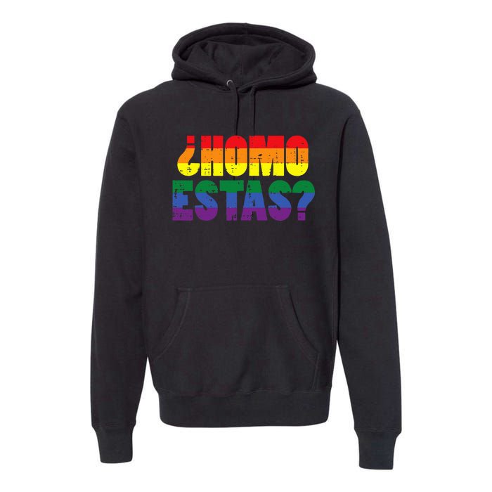 Homo Estas Spanish Mexican Funny Pride Ally Month Premium Hoodie