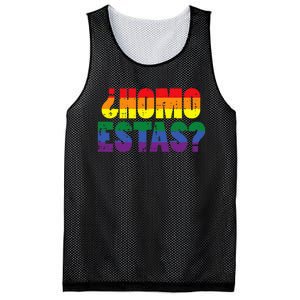 Homo Estas Spanish Mexican Funny Pride Ally Month Mesh Reversible Basketball Jersey Tank