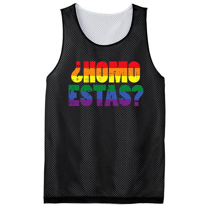 Homo Estas Spanish Mexican Funny Pride Ally Month Mesh Reversible Basketball Jersey Tank