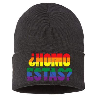 Homo Estas Spanish Mexican Funny Pride Ally Month Sustainable Knit Beanie