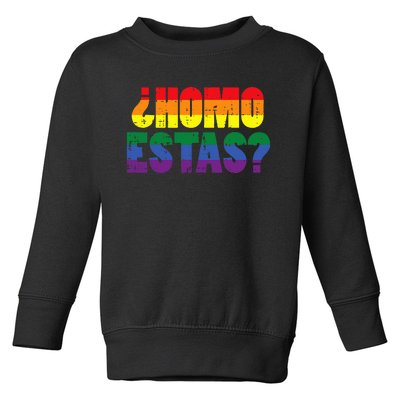 Homo Estas Spanish Mexican Funny Pride Ally Month Toddler Sweatshirt