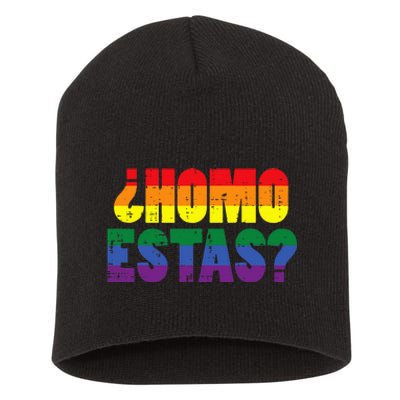 Homo Estas Spanish Mexican Funny Pride Ally Month Short Acrylic Beanie