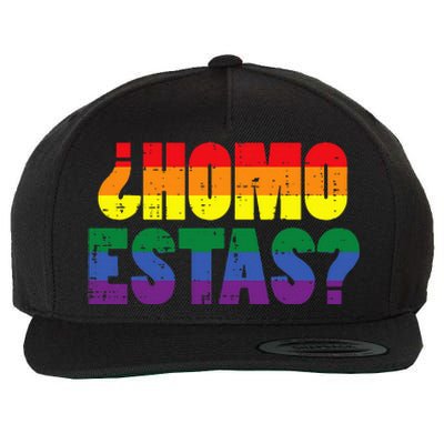 Homo Estas Spanish Mexican Funny Pride Ally Month Wool Snapback Cap