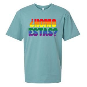 Homo Estas Spanish Mexican Funny Pride Ally Month Sueded Cloud Jersey T-Shirt