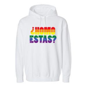 Homo Estas Spanish Mexican Funny Pride Ally Month Garment-Dyed Fleece Hoodie