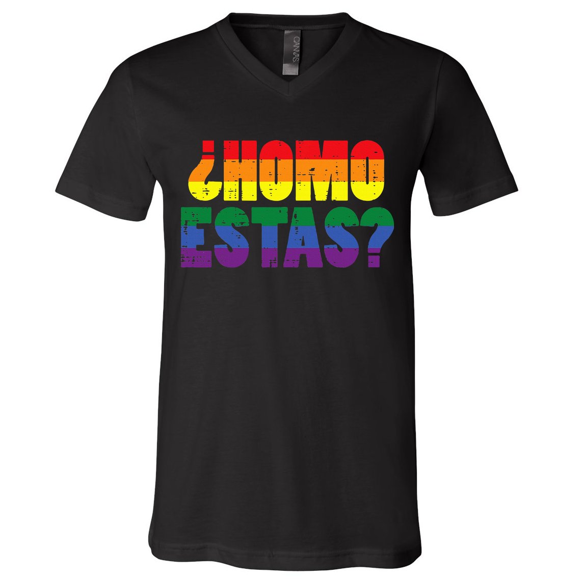 Homo Estas Spanish Mexican Funny Pride Ally Lgbt Month V-Neck T-Shirt
