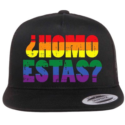 Homo Estas Spanish Mexican Funny Pride Ally Lgbt Month Flatbill Hat