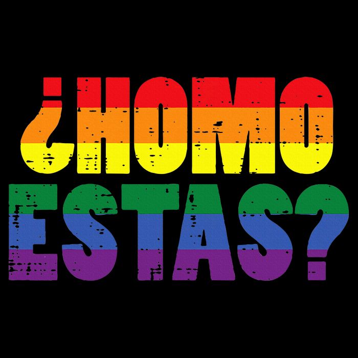 Homo Estas Spanish Mexican Funny Pride Ally Lgbt Month 16 in Basic Backpack