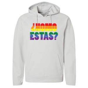 Homo Estas Spanish Mexican Funny Pride Ally Month Performance Fleece Hoodie