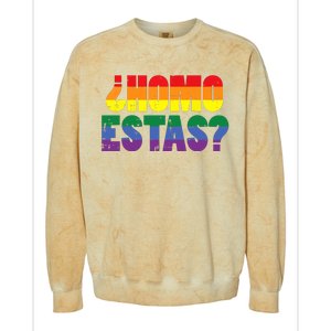 Homo Estas Spanish Mexican Funny Pride Ally Month Colorblast Crewneck Sweatshirt