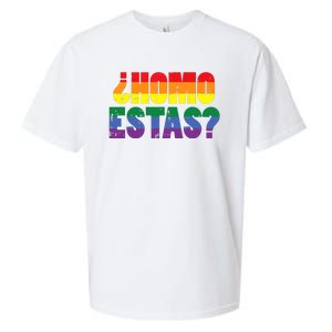 Homo Estas Spanish Mexican Funny Pride Ally Month Sueded Cloud Jersey T-Shirt