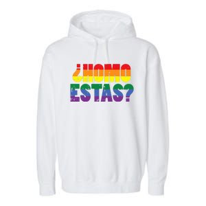 Homo Estas Spanish Mexican Funny Pride Ally Month Garment-Dyed Fleece Hoodie