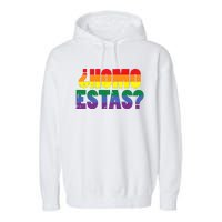 Homo Estas Spanish Mexican Funny Pride Ally Month Garment-Dyed Fleece Hoodie