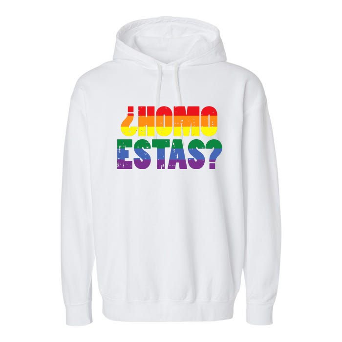 Homo Estas Spanish Mexican Funny Pride Ally Month Garment-Dyed Fleece Hoodie