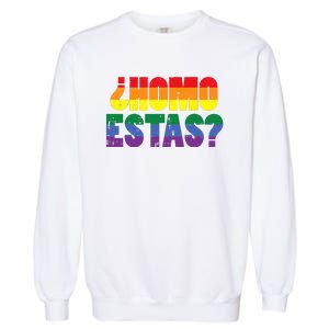 Homo Estas Spanish Mexican Funny Pride Ally Month Garment-Dyed Sweatshirt