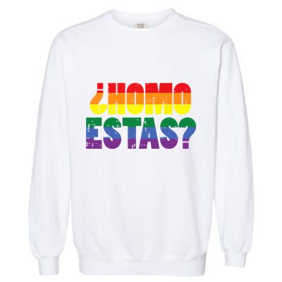 Homo Estas Spanish Mexican Funny Pride Ally Month Garment-Dyed Sweatshirt