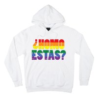 Homo Estas Spanish Mexican Funny Pride Ally Month Hoodie