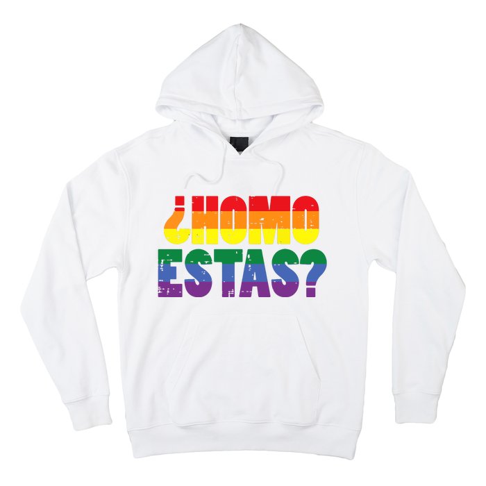 Homo Estas Spanish Mexican Funny Pride Ally Month Hoodie