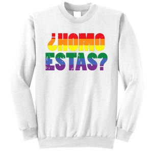 Homo Estas Spanish Mexican Funny Pride Ally Month Sweatshirt