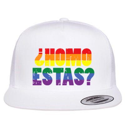 Homo Estas Spanish Mexican Funny Pride Ally Month Flatbill Hat