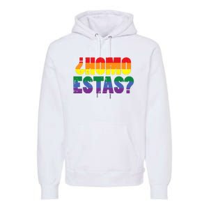 Homo Estas Spanish Mexican Funny Pride Ally Month Premium Hoodie