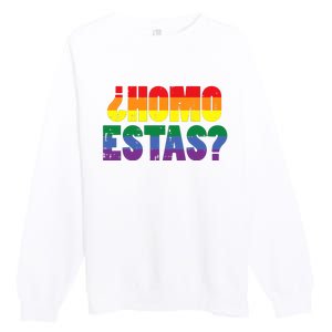 Homo Estas Spanish Mexican Funny Pride Ally Month Premium Crewneck Sweatshirt