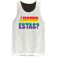 Homo Estas Spanish Mexican Funny Pride Ally Month Mesh Reversible Basketball Jersey Tank