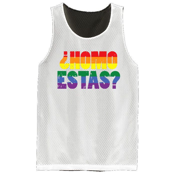 Homo Estas Spanish Mexican Funny Pride Ally Month Mesh Reversible Basketball Jersey Tank