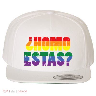 Homo Estas Spanish Mexican Funny Pride Ally Month Wool Snapback Cap