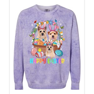 Happy Easter Three Cute Bunny Norwich Terriers Eggs Basket Cool Gift Colorblast Crewneck Sweatshirt