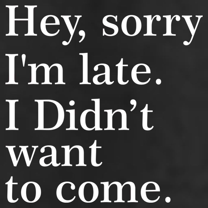 Hey, Sorry I'm Late. I Didn't Want To Come. 12oz Stainless Steel Coffee Mug
