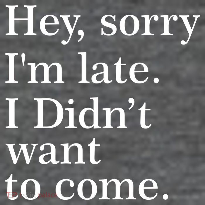 Hey, Sorry I'm Late. I Didn't Want To Come. Premium T-Shirt