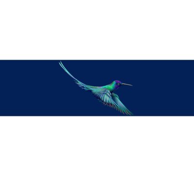 Hummingbird From A Splash Bumper Sticker