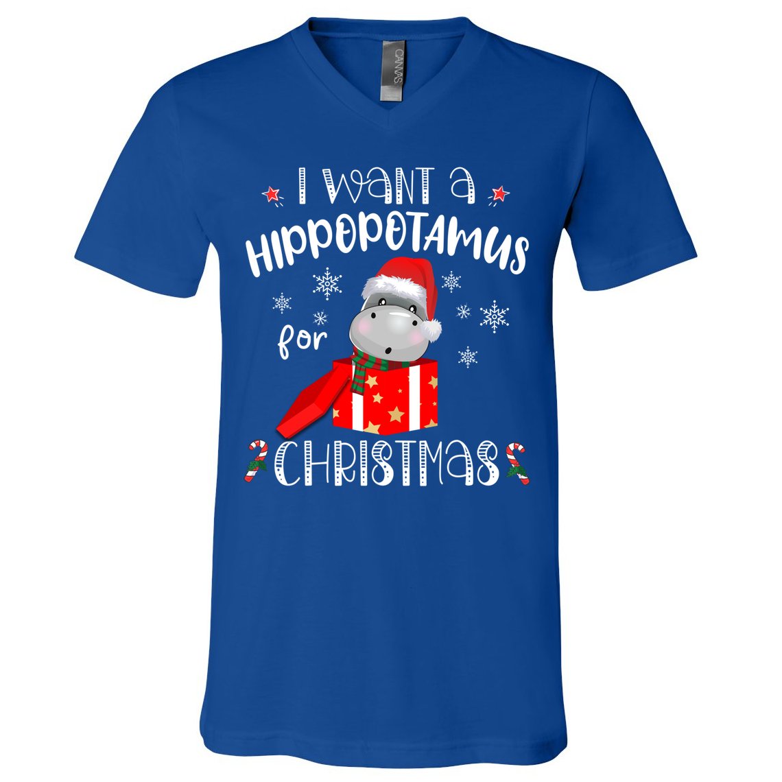 Hippopotamus For Christmas Matching Xmas Hippo Pajama Gift V-Neck T-Shirt
