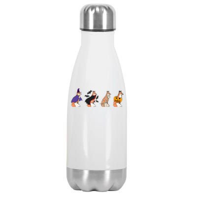 Halloween Fox Costume Witch Vampire Mummy Pumpkin Jack Funny Gift Stainless Steel Insulated Water Bottle