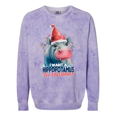 Hippopotamus For Christmas Colorblast Crewneck Sweatshirt