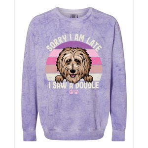 Humor Funny Doodle Lover Quote Sorry I Am Late I Saw A Dog Gift Colorblast Crewneck Sweatshirt