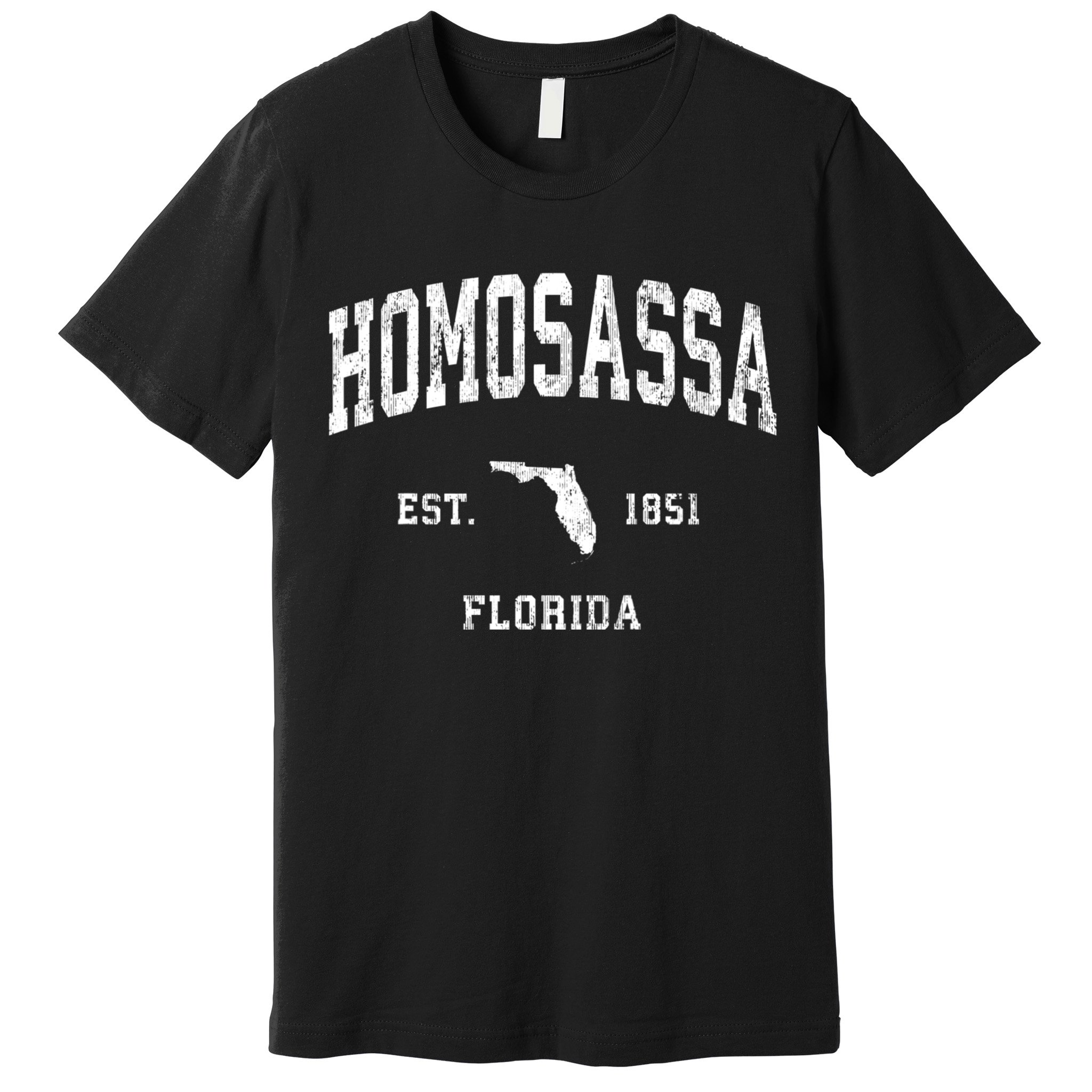 Homosassa Florida Fl Vintage Athletic Premium T-Shirt