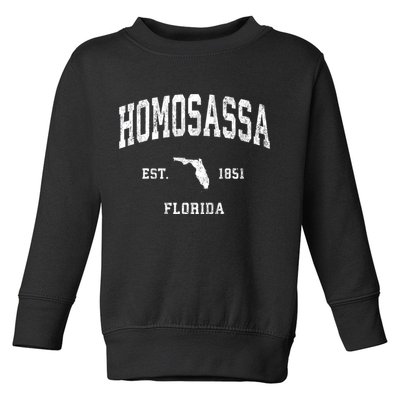 Homosassa Florida Fl Vintage Athletic Toddler Sweatshirt