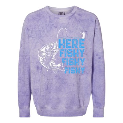 Here Fishy Funny Fishkeeping Aquarist Aquarium Graphic Colorblast Crewneck Sweatshirt