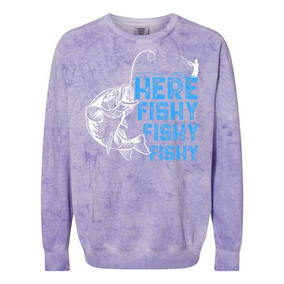 Here Fishy Funny Fishkeeping Aquarist Aquarium Graphic Colorblast Crewneck Sweatshirt