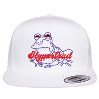 Hypnotoad Funny Frog Football Coach Flat Bill Trucker Hat