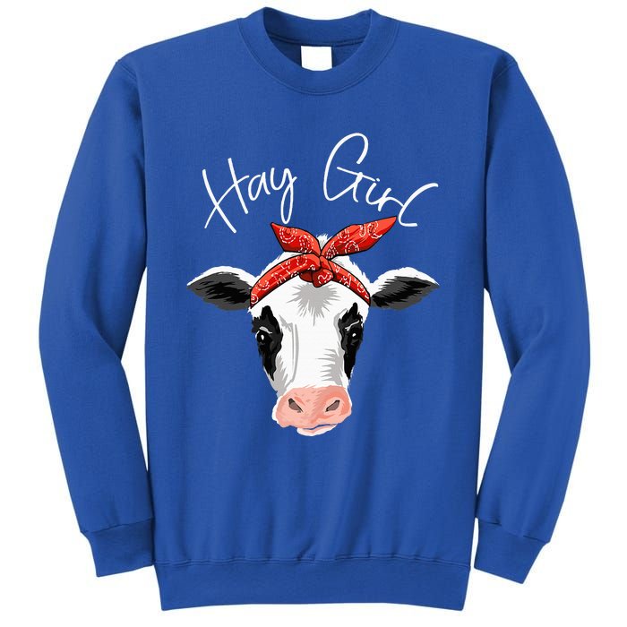 Hay Farmer Funny Cattle Cow Farm Lovers Gift Women Sweatshirt