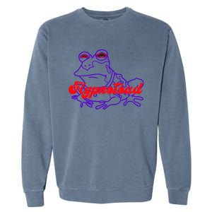 H_ypnotoad Funny Frog Football Coach Design Gift Fan Garment-Dyed Sweatshirt