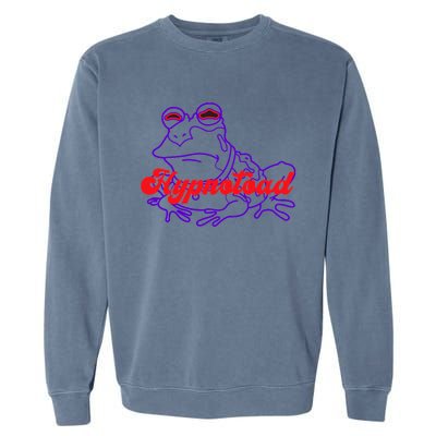 Hypnotoad Funny Frog Football Coach Garment-Dyed Sweatshirt