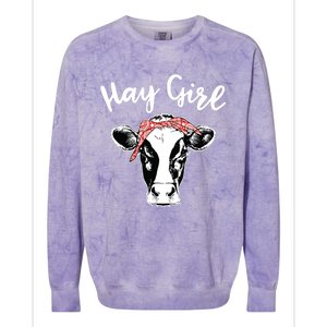 Hay Farmer Gift Cattle Cow Lovers Colorblast Crewneck Sweatshirt