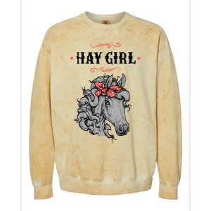 Horse Funny Gift For Girls And Women Horse With Bandana Hay Girl Cool Gift Colorblast Crewneck Sweatshirt