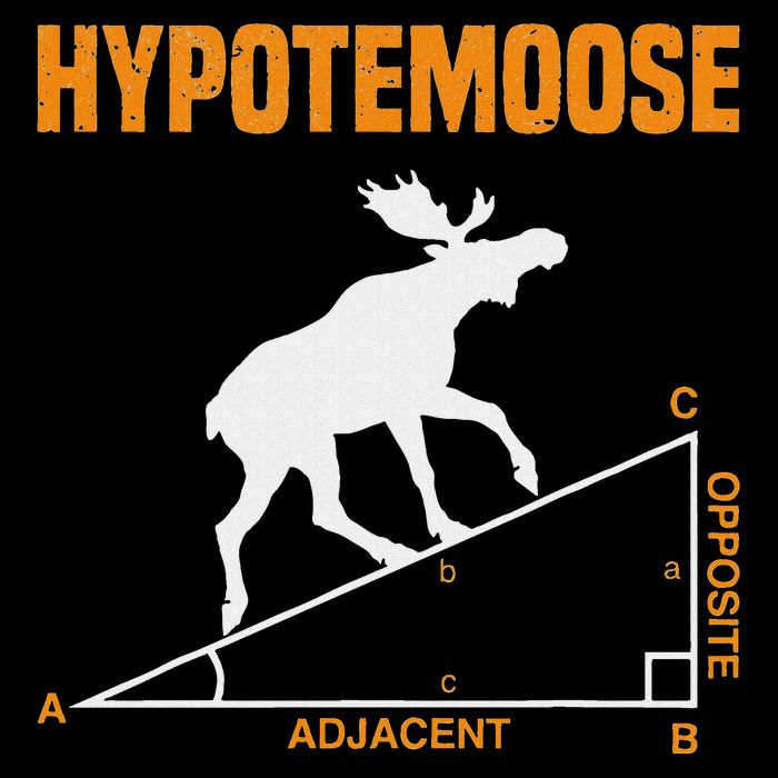 Hypotemoose Funny Geometry Hypotenuse Mathematics Teacher Flat Bill Trucker Hat