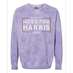 Hoes For Harris 24 Hotties For Harris 2024 Colorblast Crewneck Sweatshirt